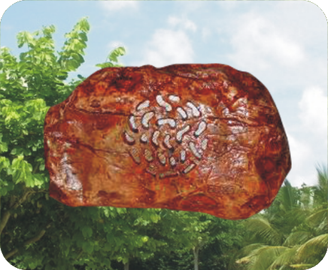 高品質玻璃鋼草坪音箱 OBT-1804X