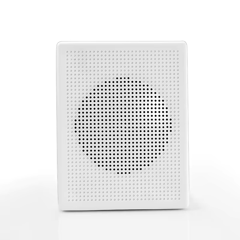 室內(nèi)壁掛音箱 OBT-421